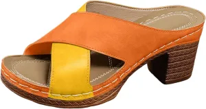 Chunky Heel Fish Mouth Women's Shoes Fashion Casual Hollow Open Heel Strap Stitching Color Spring Small Wedges for Women